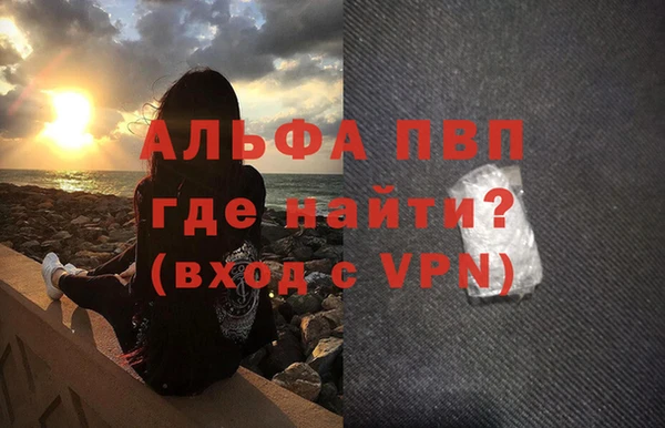 гашик Арсеньев