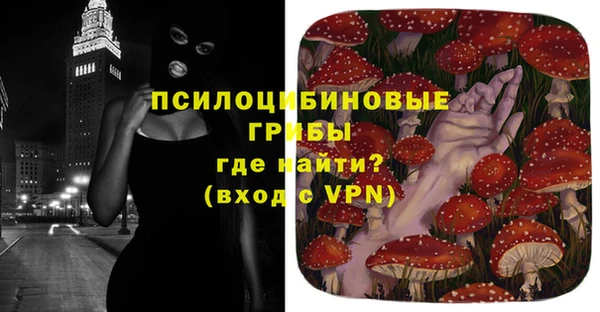 винт Аркадак