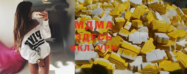 шишки Ельня