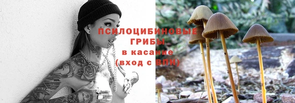 винт Аркадак
