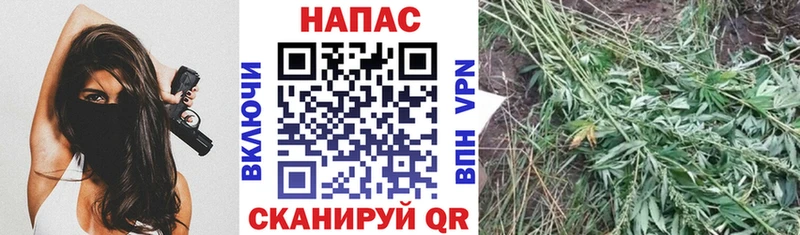 Канабис конопля  shop состав  Собинка 